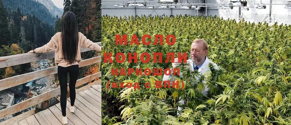 ешки Алексин