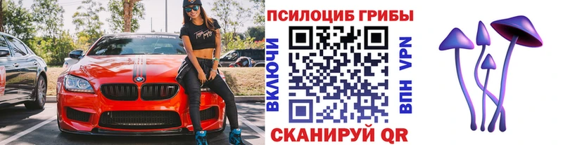 закладка  Берёзовский  Псилоцибиновые грибы GOLDEN TEACHER 
